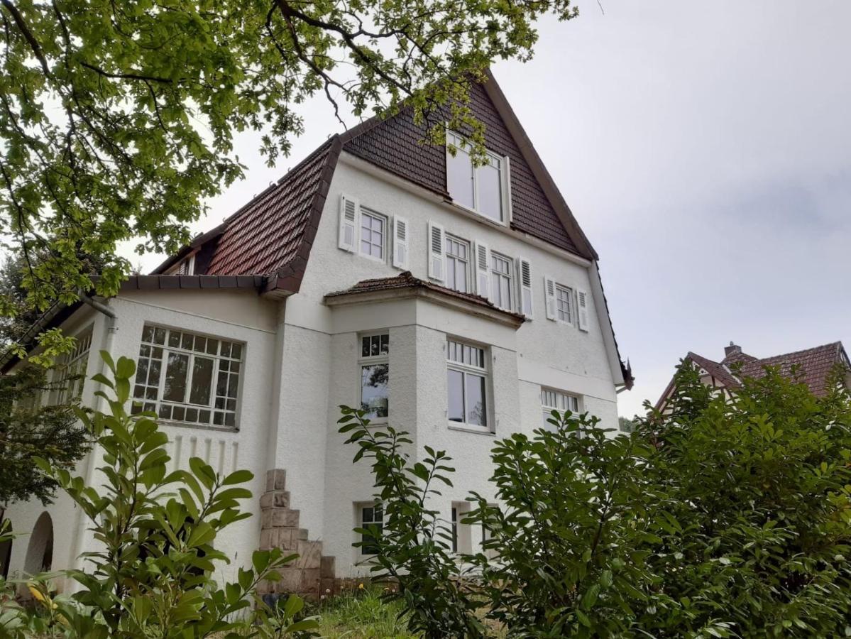 באד סקסה Villa Am See מראה חיצוני תמונה