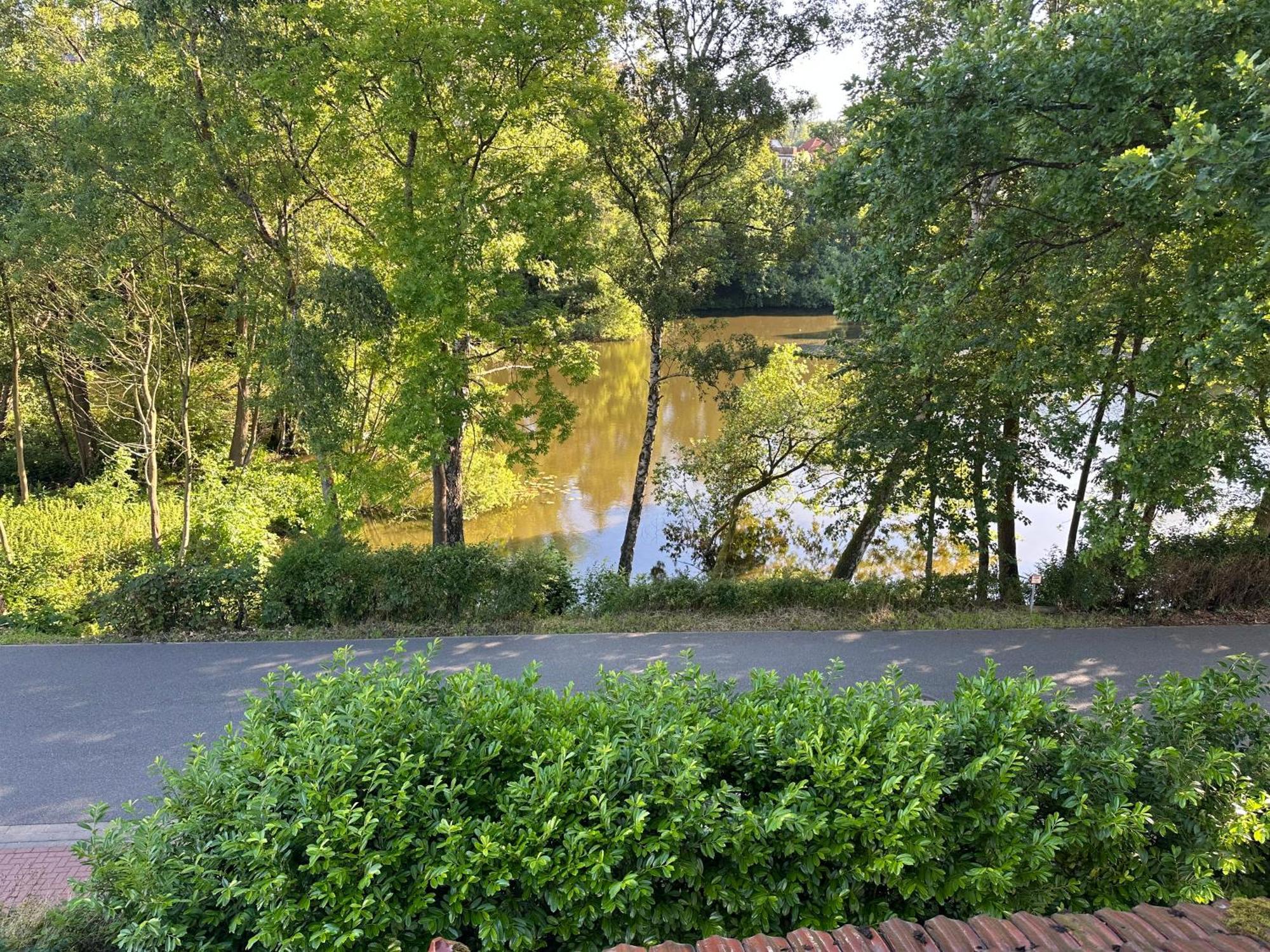 באד סקסה Villa Am See מראה חיצוני תמונה