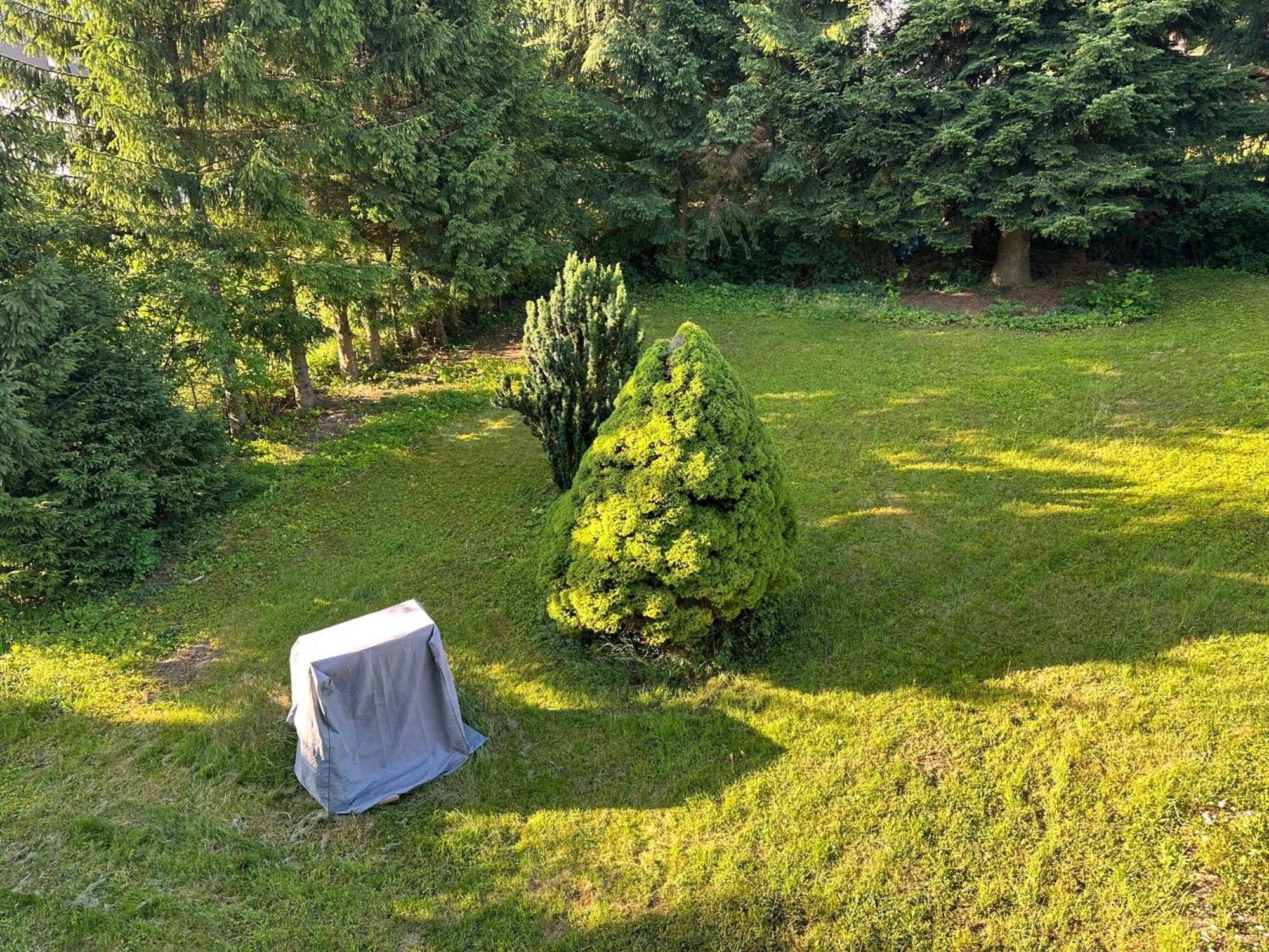 באד סקסה Villa Am See מראה חיצוני תמונה
